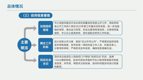 张店区机关事务服务中心2022年政府信息公开工作年度报告——计算机信息技术咨询服务部分